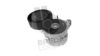BREDA  LORETT TOA3892 Belt Tensioner, v-ribbed belt